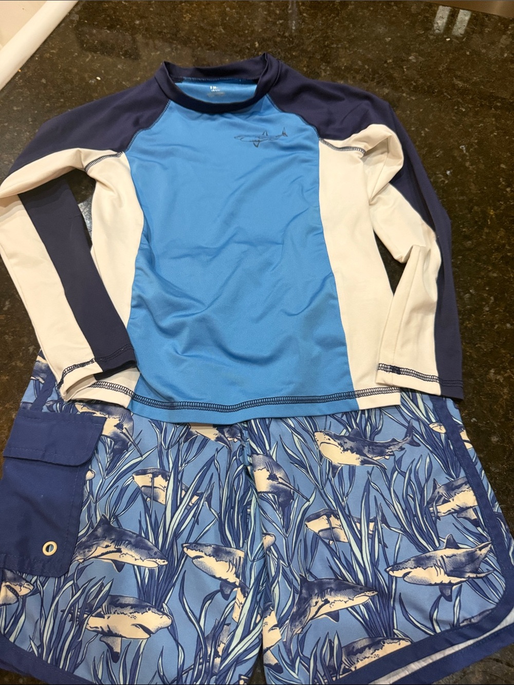 Target Boys' Navy & Light Blue Shark Rashguard Swim Set